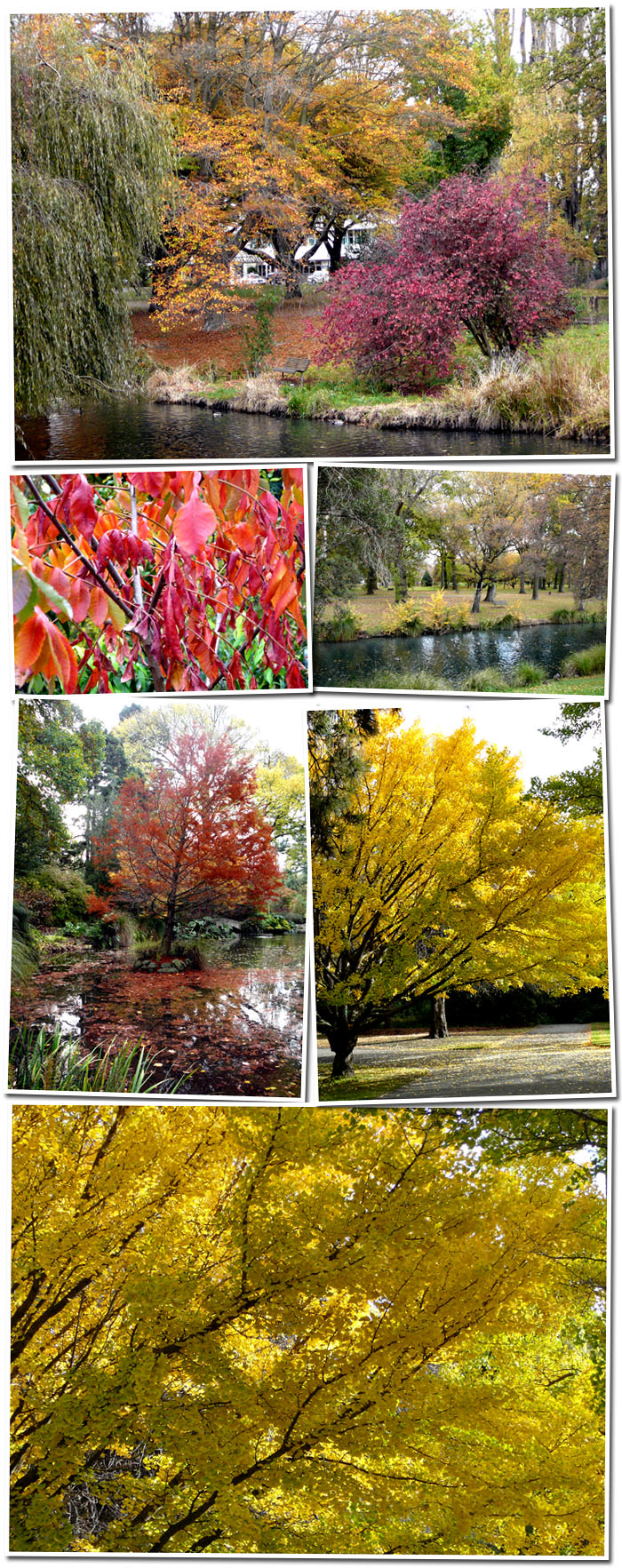 Automne au parc botanique